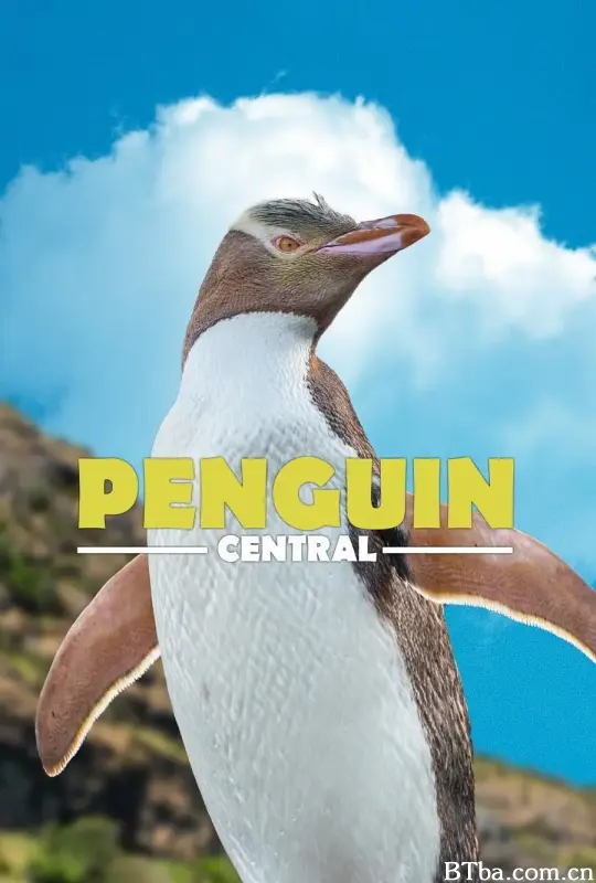 探秘企鹅王国/Penguin Central