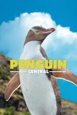 探秘企鹅王国/Penguin Central