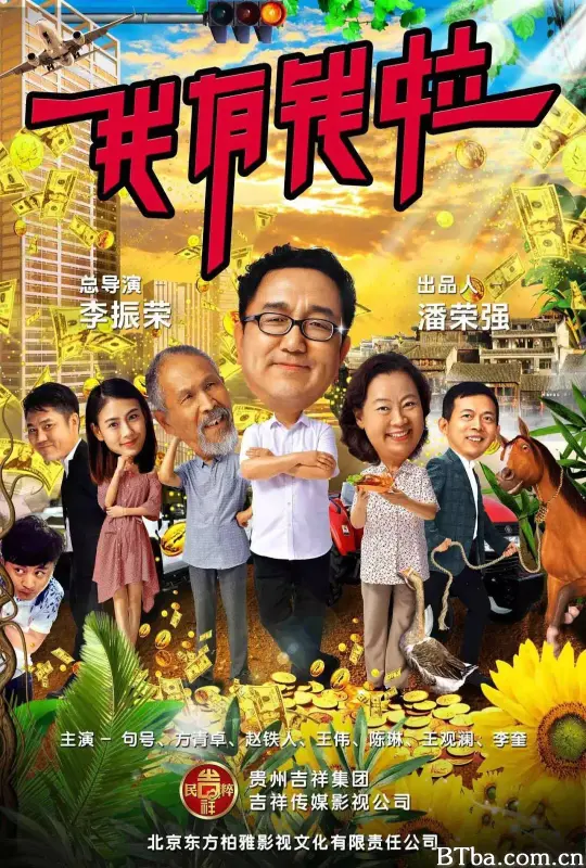 我有钱啦 (2018) 1080P/4K BT磁力 迅雷网盘下载