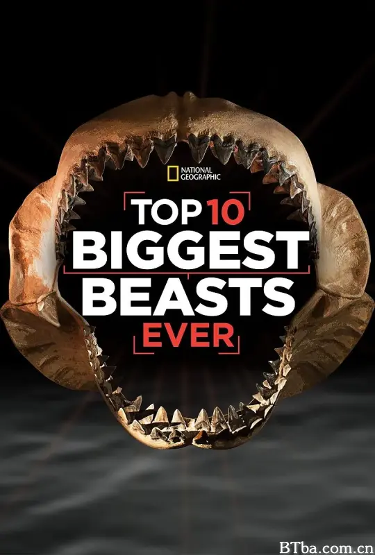 十大巨兽排行榜/Top 10 Biggest Beasts Ever