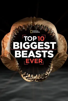 十大巨兽排行榜/Top 10 Biggest Beasts Ever