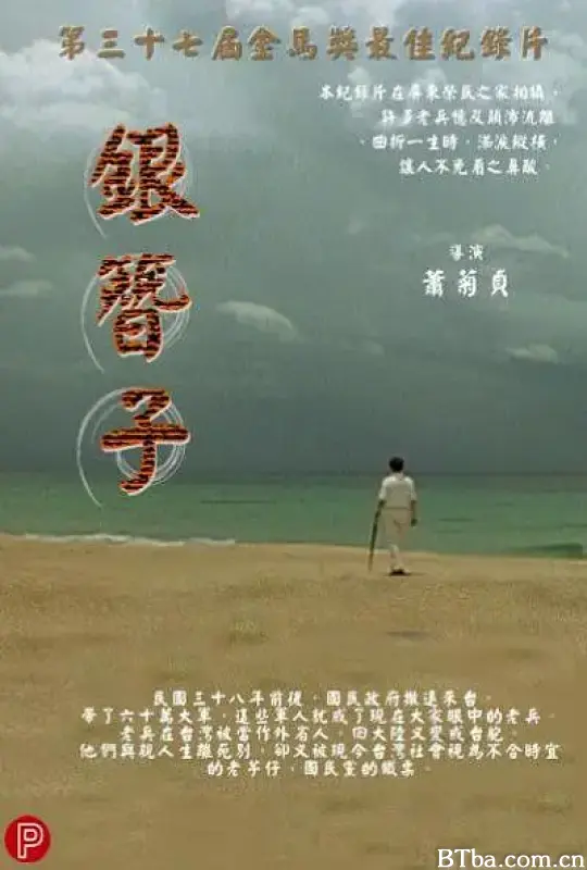 银簪子/銀簪子