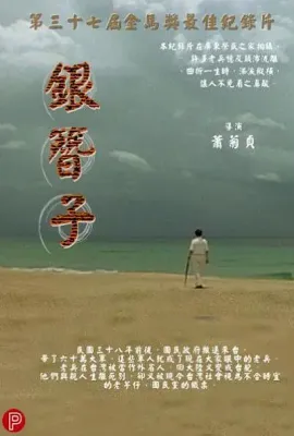 银簪子/銀簪子