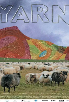 纱/Yarn