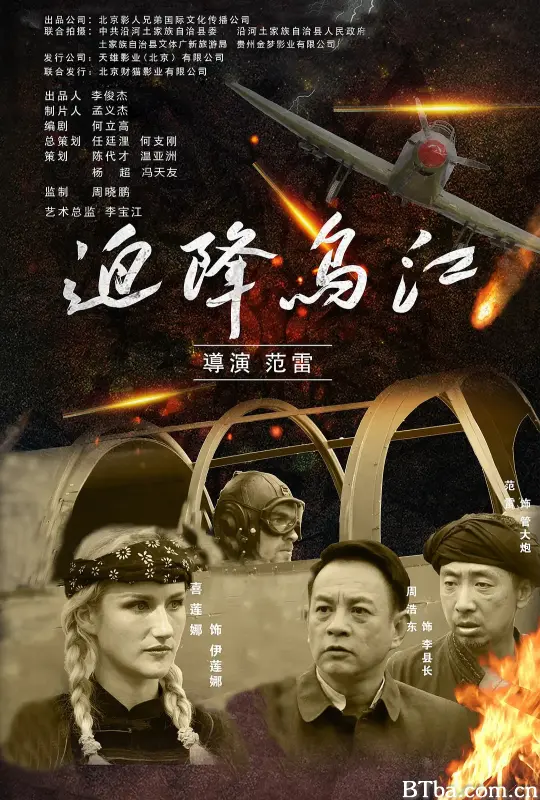迫降乌江