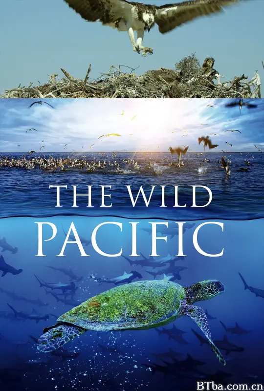 狂野太平洋/The Wild Pacific