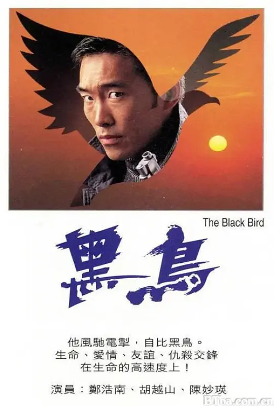 黑鸟/黑鳥