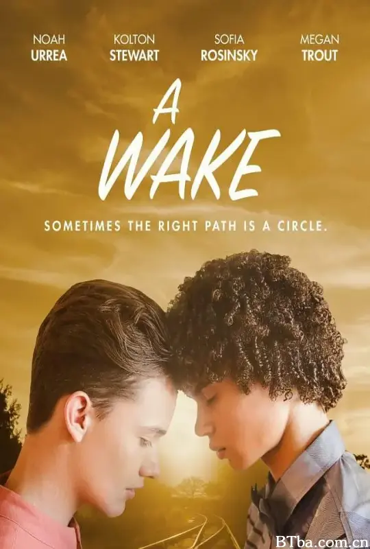一次觉醒/A Wake