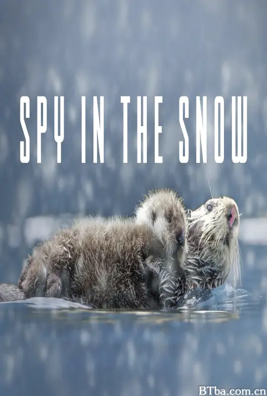 冰雪间谍/Spy in the Snow