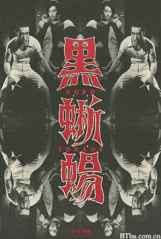 黑蜥蜴/黒蜥蜴