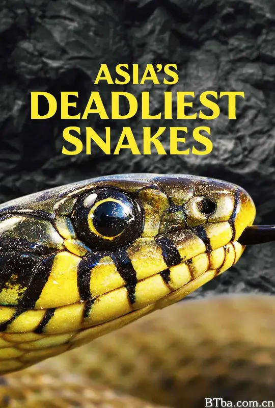 Asia's Deadliest Snakes