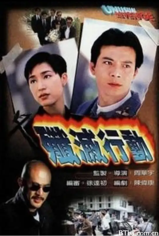 歼灭行动/殲滅行動