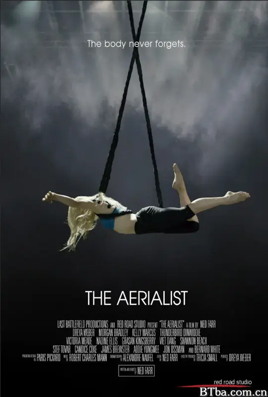 The Aerialist