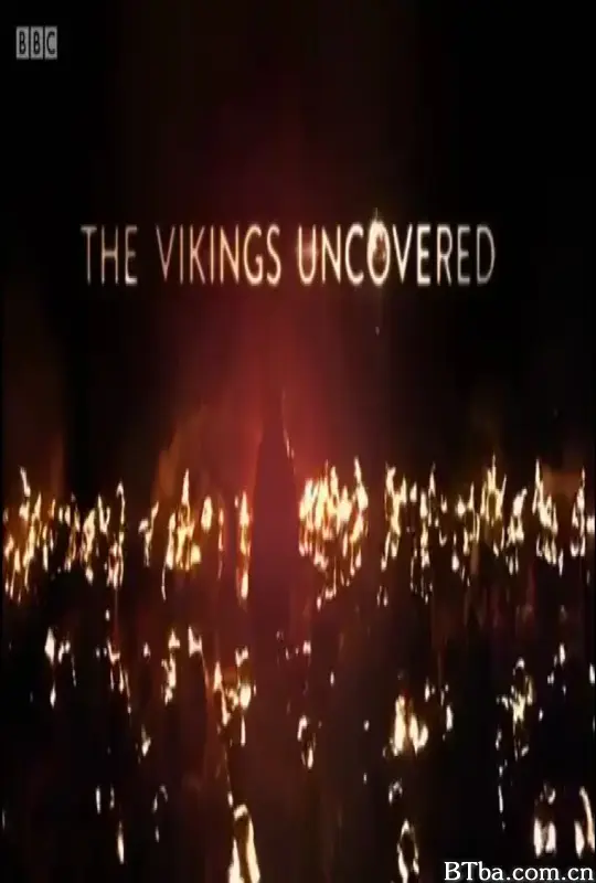 维京解密/The Vikings Uncovered