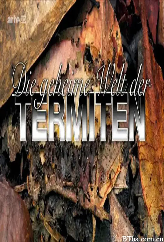 探索白蚁密室/Die geheime Welt der Termiten
