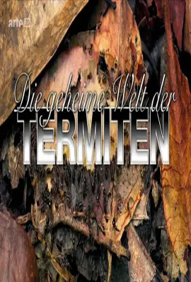 探索白蚁密室/Die geheime Welt der Termiten