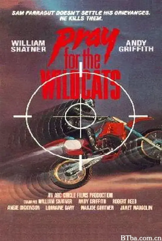 谍海逃亡记/Pray for the Wildcats