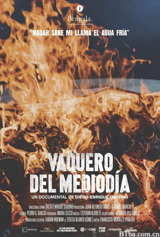 Vaquero del mediodía