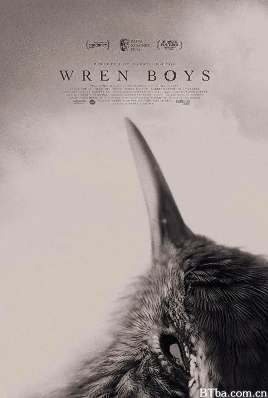 鹪鹩男孩/Wren Boys