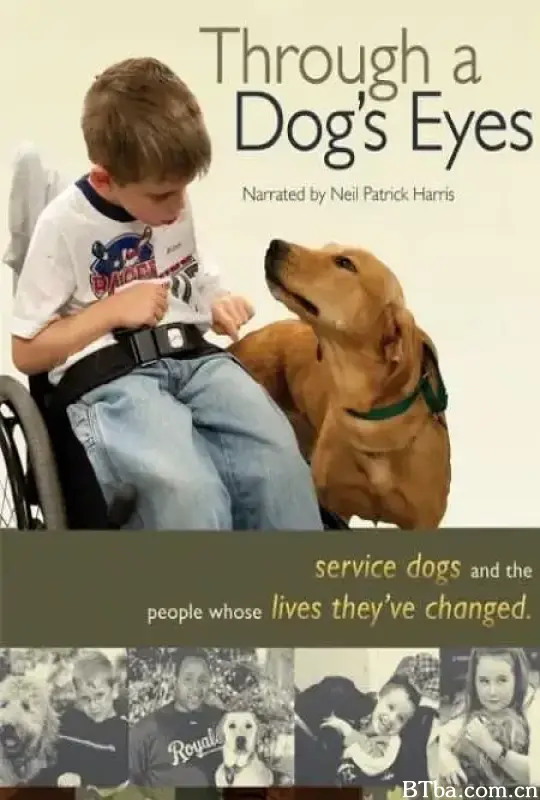协助犬的故事/Through a Dog's Eyes