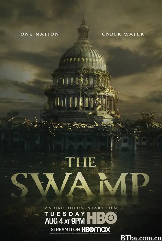 抽干民主党/The Swamp