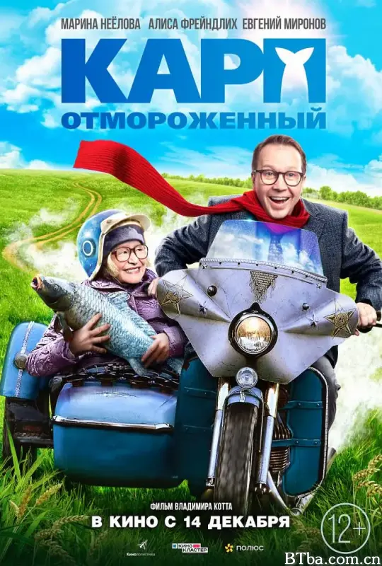 冻伤的鲤鱼/Карп отмороженный
