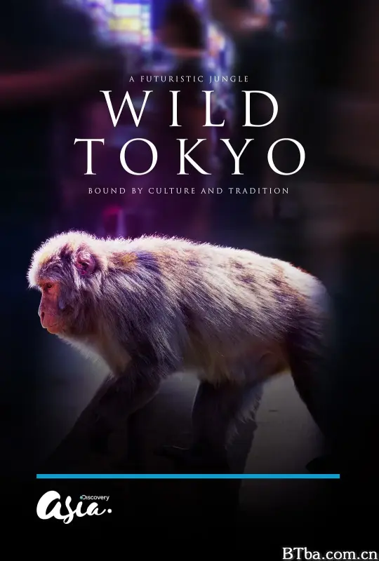 狂野东京/Wild Tokyo