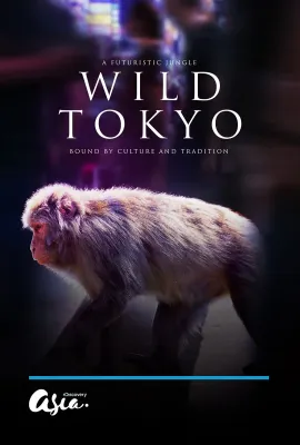 狂野东京/Wild Tokyo