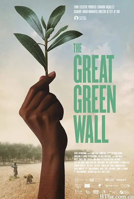 绿色长城/The Great Green Wall