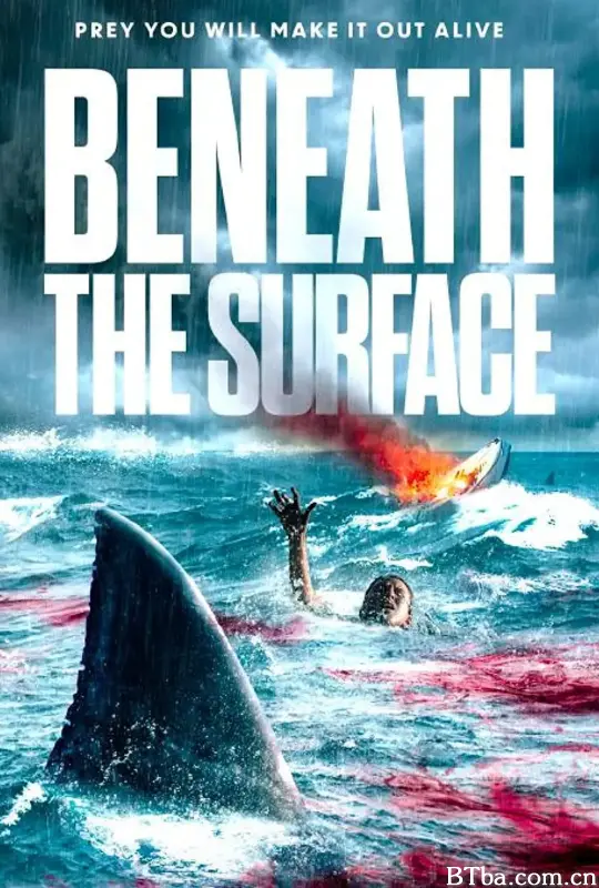 海面之下/Beneath the Surface