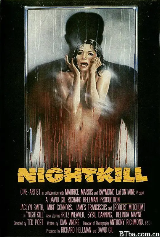 午夜追踪/Nightkill