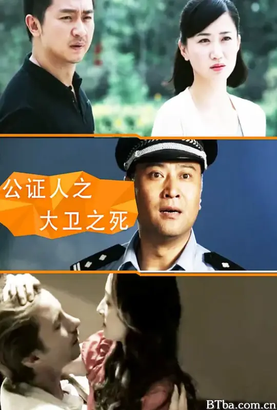 公证人之大卫之死 (2015) 1080P/WEB-DL BT磁力 迅雷网盘下载