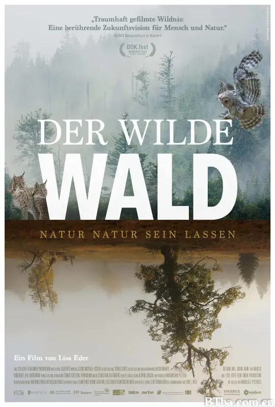 野生森林/Der Wilde Wald