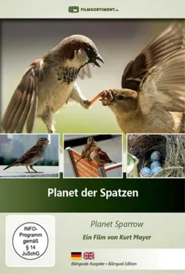 星球上的麻雀/Planet Sparrow