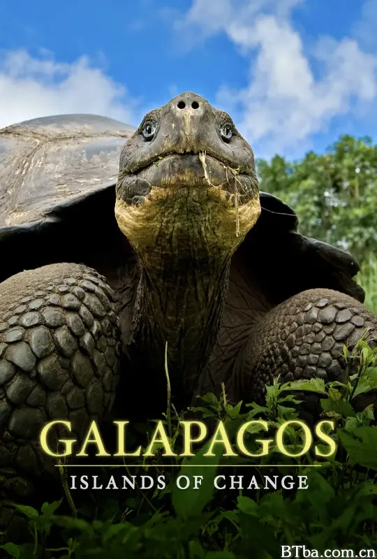 自然世界：加拉帕戈斯群岛的变化/Natural World: Galapagos - Islands Of Change