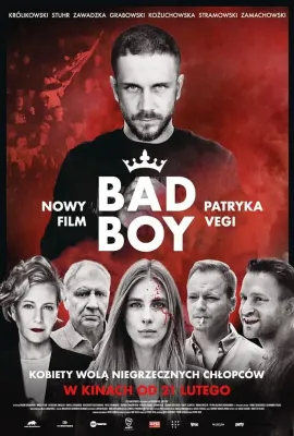 坏小子/Bad Boy