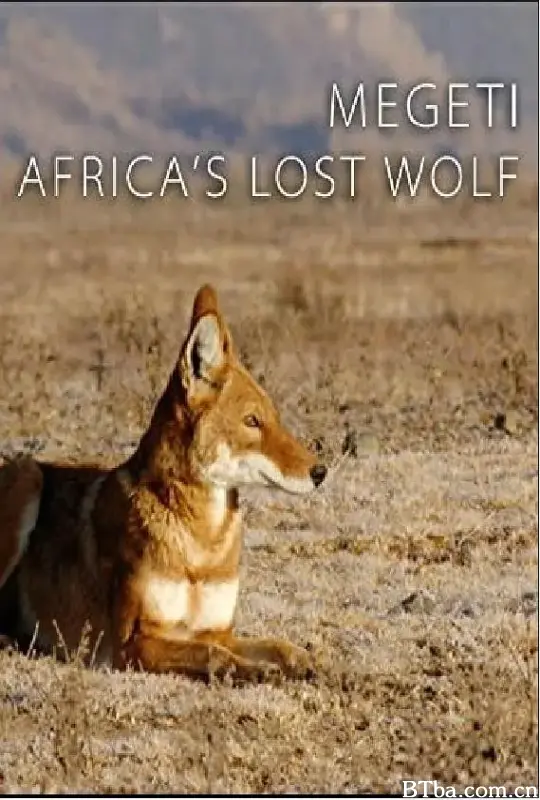 非洲孤狼/TerraMater Megeti Africa's Lost Wolf