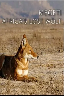 非洲孤狼/TerraMater Megeti Africa's Lost Wolf