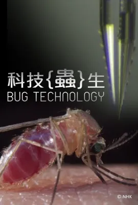 科技虫生/Bug Technology