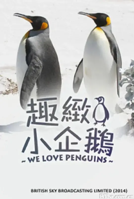 我们爱企鹅/We Love Penguins