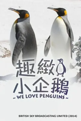 我们爱企鹅/We Love Penguins