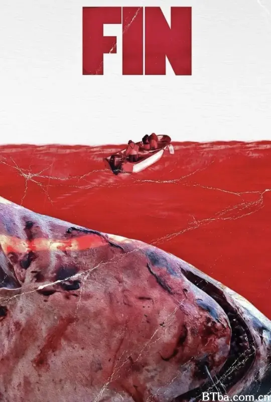 鲨鱼鳍/Fin