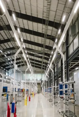 莲花：新的黎明/Lotus: A New Dawn