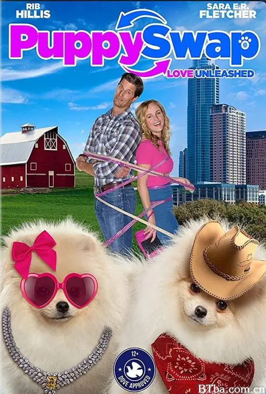 狗狗互换 ：放手去爱/Puppy Swap:Love Unleashed
