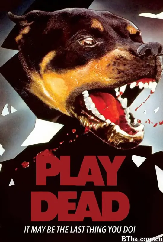假死疑云/Play Dead