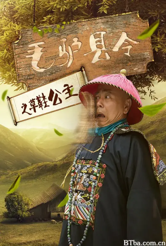 毛驴县令之草鞋公主