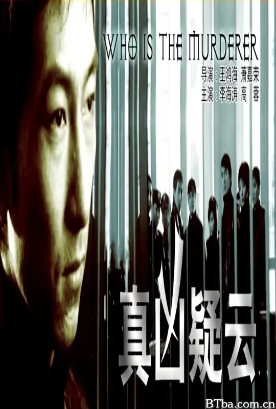 真凶疑云 (2003) 1080P/WEB-DL BT磁力 迅雷网盘下载