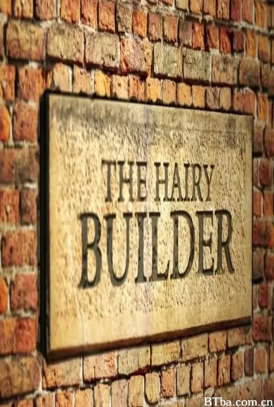 大胡子领你看建筑 The Hairy Builder (2016) 1080P/WEB-DL BT磁力 迅雷网盘下载