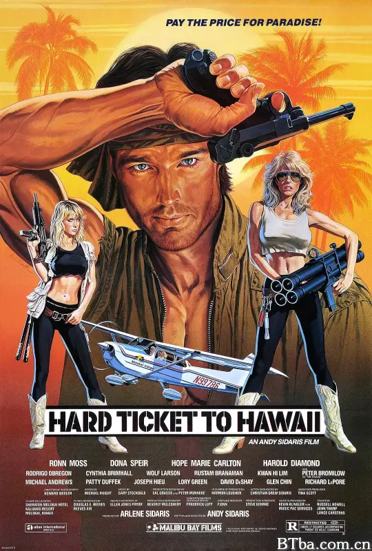落霞征雁/Hard Ticket to Hawaii