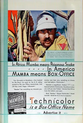 曼巴/Mamba
